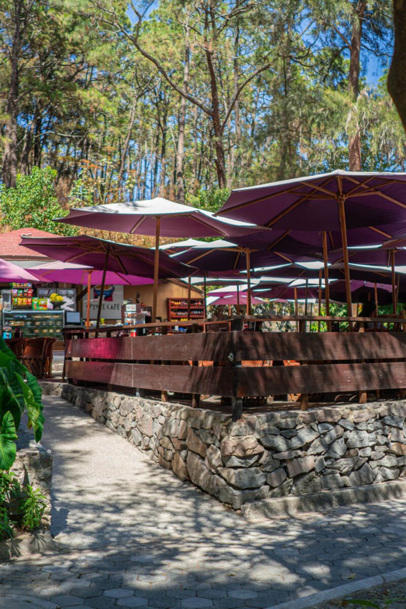 Eventos en Coyote Café