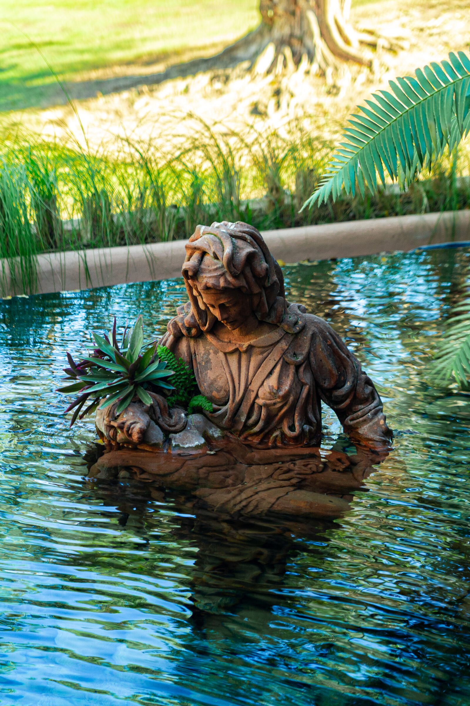 Evento en Santo Coyote Vallarta